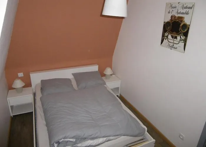 Narcisse Apartment Colmar